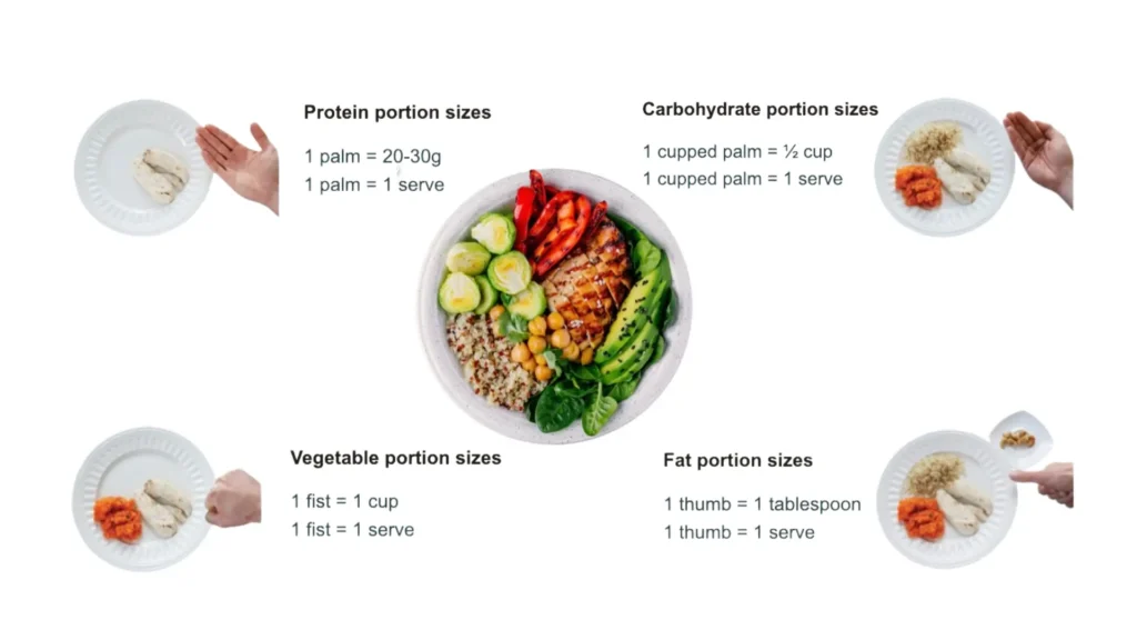 Graphic showing hand portions for macro nutrients